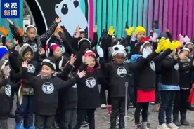 旅美大熊猫“宝力”“青宝”与民众见面图片