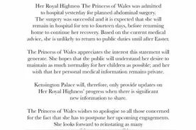 凯特王妃病历被曝遭医院员工偷看，英多方回应！当事人被调查图片