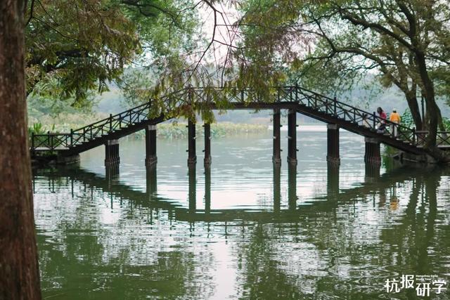 12.07 独立营｜冬日寻羽记：解码西湖候鸟的越冬密码！鸟类专家带队，探秘茅家埠“鸟类天堂”，体验听声辨鸟、飞羽寻踪的野趣周末！