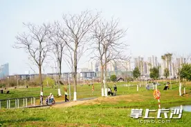 降温20℃+10级大风+冰雹，寒潮大风倒计时！请做好防护措施图片