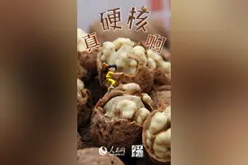 云南核桃：“别盘我，多吃我”图片