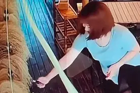 女子笑着点燃餐厅装饰芦苇后逃离，知情者：商家已报警，无人受伤图片