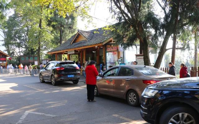 秋假遇上好天气 登高蒙顶赏山色