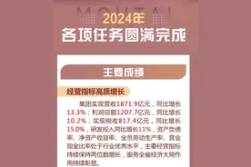 茅台集团2024年实现利润总额1207.7亿元，同比增长10.2%图片
