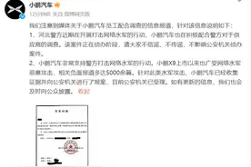 理想MEGA遭恶意攻击，小鹏一中层正配合调查！小鹏回应：我们也受到了攻击，已报警图片