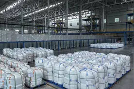 市州观察丨达州狠抓龙头带动 大项目催生产业加快成链成群图片