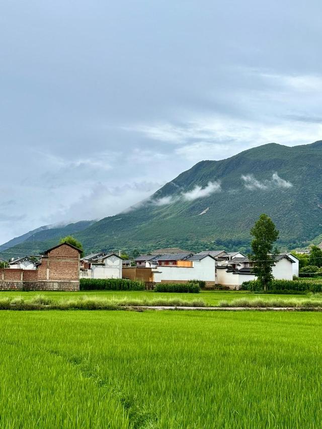 十字路口的古镇｜大理沙溪古镇：如何平衡“守住传统”与“接住流量”的关系？