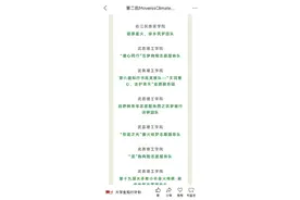 从红城百色走向世界舞台！右江民族医学院“碧原星火”团队以知行实践点亮全球环境治理星火图片