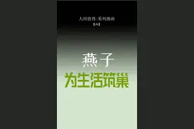 人间值得·系列漫画【六】燕子，为生活筑巢图片