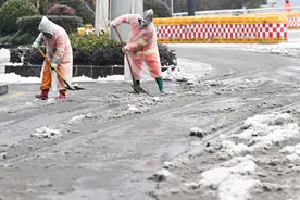 一场冻雨大雪为何压断了那么多树，南方的雪有何不同？图片