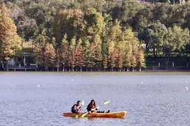 4.7℃！今天广州气温创下半年新低，周末温差极大图片