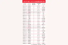 A股连板王年终盘点：圣龙股份14连板连续涨停天数最多 四川黄金13连板紧随其后图片
