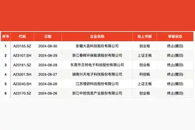 IPO周报｜本周三只新股申购，上汽集团、星巴克供应商来了图片