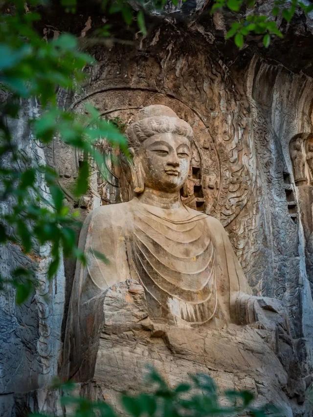 太骄傲！赵立坚又推介洛阳！
