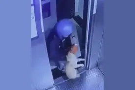 闪电律解｜外卖员从26楼将猫扔下摔死 律师：或涉高空抛物罪图片