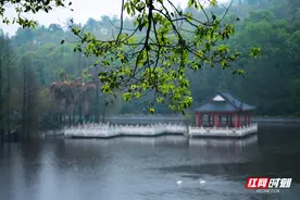 “超长待机”的雨季 如何浸润出湖南人的生活诗意？图片