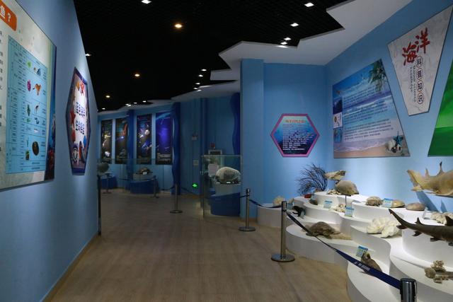 春节遛娃好去处 石林冰雪海洋世界推出2月限定梦幻灯展夜场