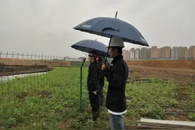 建设浑南校区 挺起东北大学新坐标图片