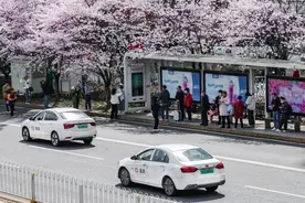 滴滴发布清明安全公告 亲友守护、助老打车等服务保障重点群体出行无碍图片