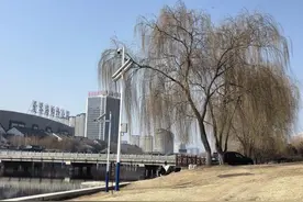 河边钓鱼、赏喷泉的多了！今天泰安暖阳照耀，最高18℃！图片