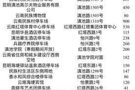 43个停车场、10868个停车泊位，昆明观鸥这些地方可停车→图片