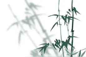 泰元说节气：好雨知时节，当春乃发生图片