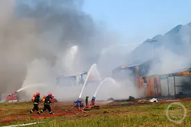 多图 | 水、陆、空齐上阵 硬核演练实战救援图片