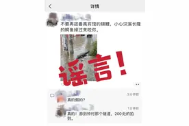 长隆鳄鱼出逃？这些均为谣言→图片