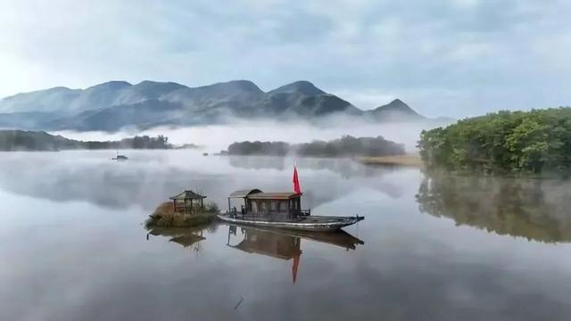在雨中的神农架，遇见云山雾海、迷雾森林