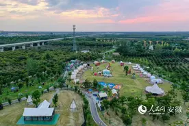 安徽蒙城：古城文旅有新意图片