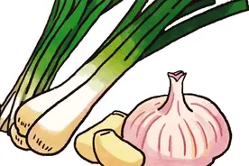 蔬菜主要病虫害的识别与防治图片