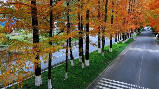 酉阳初冬美景合集：邂逅山间调色盘，每一帧都是壁纸！