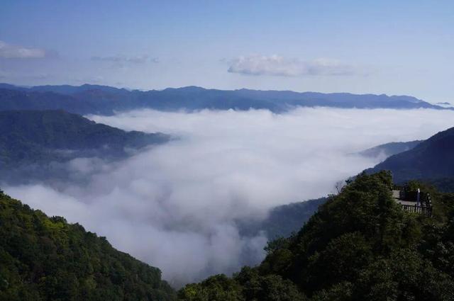 开了！开了！福州开了成片杜鹃花海！快上鼓岭