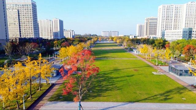 🧡宿城，已经美成这样！