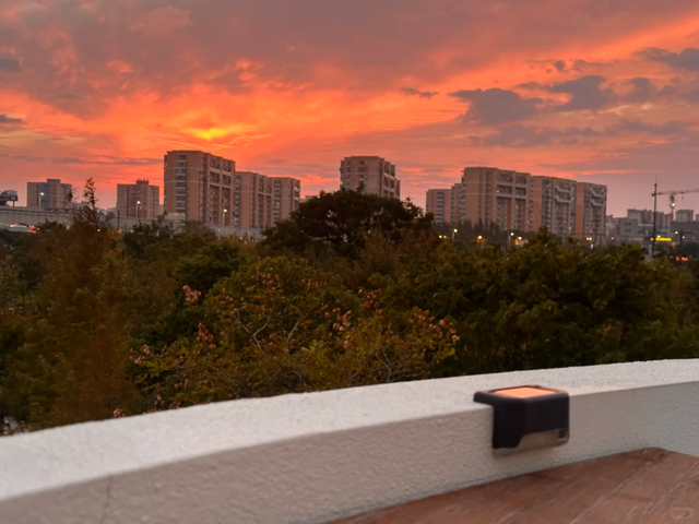 红叶+落日！深秋限定！用一下午时间感受河畔最美秋色