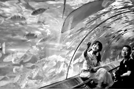 现代海洋城市：现代化建设中的“蓝色”力量图片