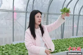 山东“新农人”巧用流量 “链”起农业产业升级路图片