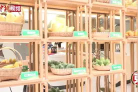 东西问丨黄国弟：芒果是怎样从热带果园飘香全球的？图片