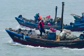 日照本地螃蟹即将上岸！还有……图片