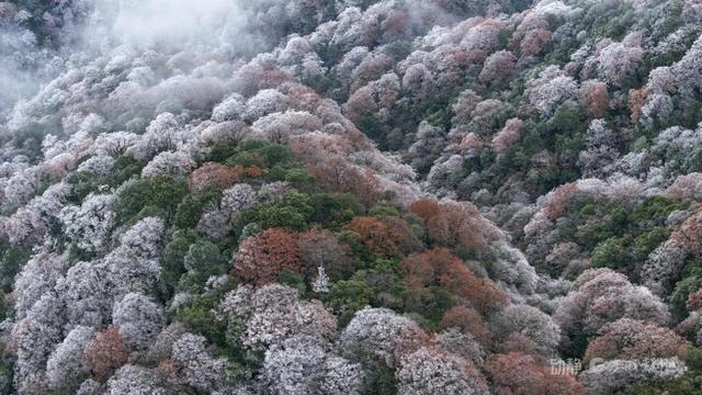 这个冬天，到贵州赴一场色彩之约