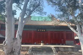 北京：“非遗+”拓宽传统文化保护多元路径图片