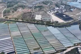 达州市达川区科技赋能苎麻产业高质量发展图片