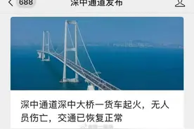 深中通道深中大桥一货车起火，明火已扑灭，无人员伤亡图片