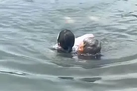 白发大爷跳入西湖，教科书式救人！曾是一名记者图片