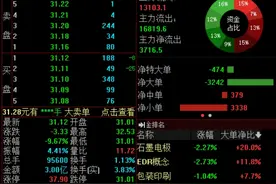 实控人被留置、立案调查，爱玛科技早盘一度触及跌停图片