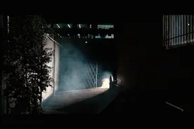 大脑退化，梦境先知！经常做这3种梦，多半是大脑在“求救”，别再习以为常了图片