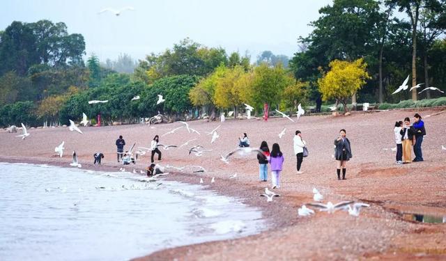 赶紧来玉溪！你就认得格“处得橙”、格“整得成”啦~