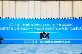 实施方案发布！临港新片区金融领域高水平开放高质量发展将加快推进图片