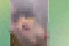 正式确认：他未被录取！原因最新公布图片