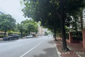 千万别乱摘、乱吃！南宁街头已大量出现图片